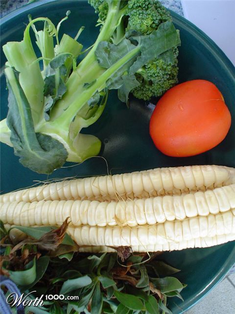 Photography by Artoons