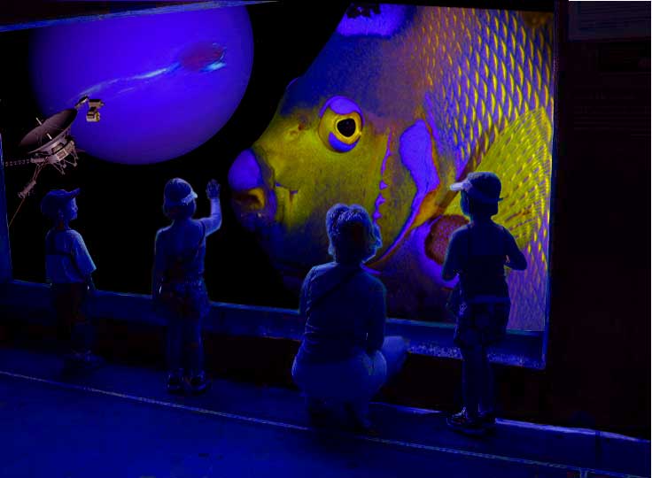 Design Photoshop par WizFromOz pour DesignCrowd (Community Contests) | Design #9065445