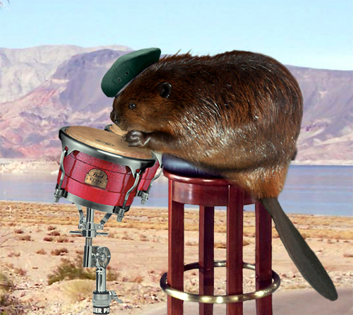 Photoshop Design by Ron Miller for DesignCrowd (Community Contests) | Design #9065440