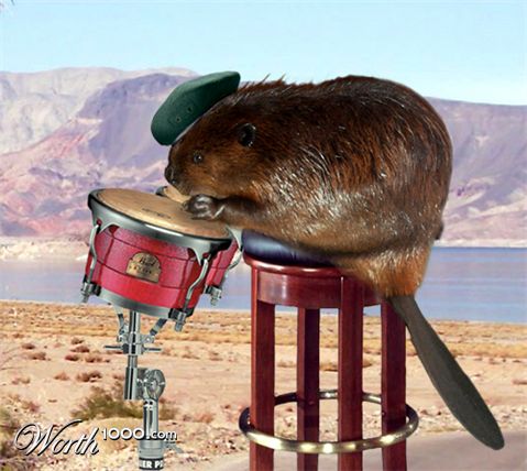 Photoshop Design by Ron Miller