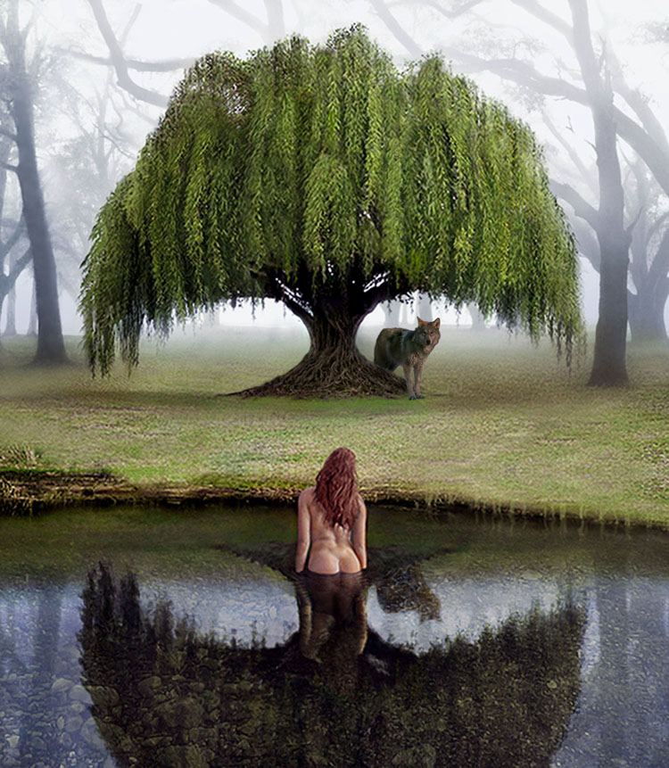 Design Photoshop par bpkelsey pour DesignCrowd (Community Contests) | Design #9065427