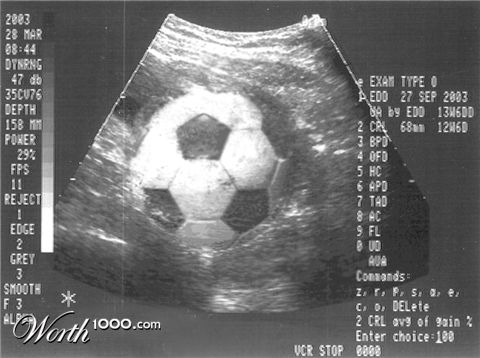 Photoshop Design by paperlily