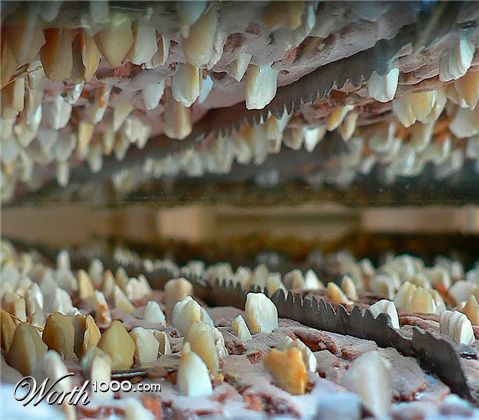 Photography by jandreu