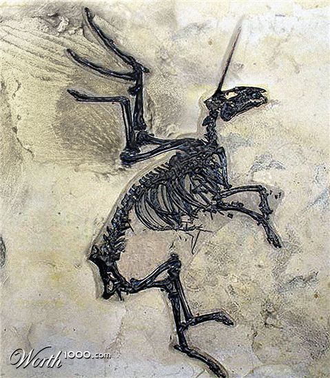 Photoshop Design by sabrnig