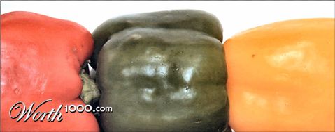 Photography by Juicer