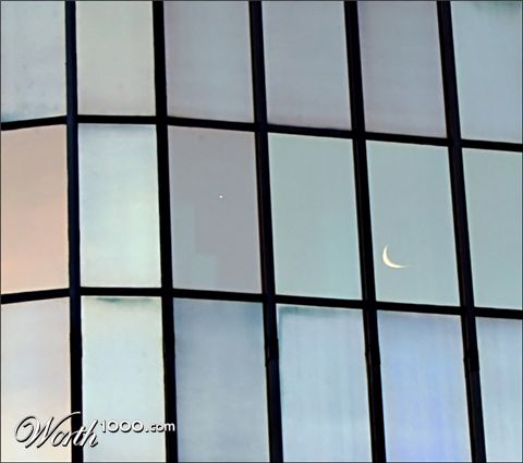 Photography by Scuzem