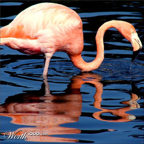 Photography by Ronbrandt