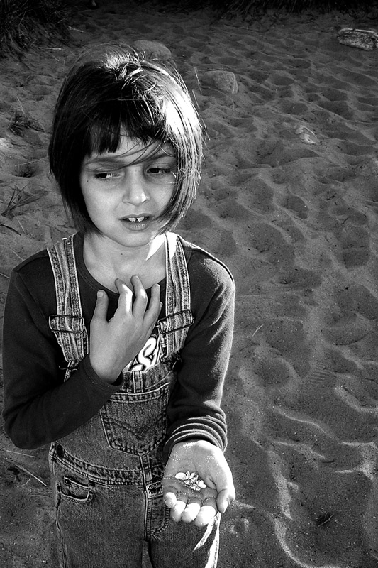 Photography by myopicglimpse for DesignCrowd (Community Contests) | Design #9076709