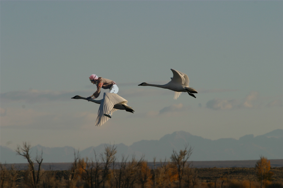 Photoshop-Design von dragos für DesignCrowd (Community Contests) | Design #9065162