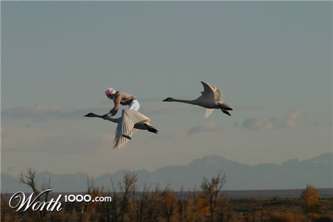 Photoshop Design by dragos