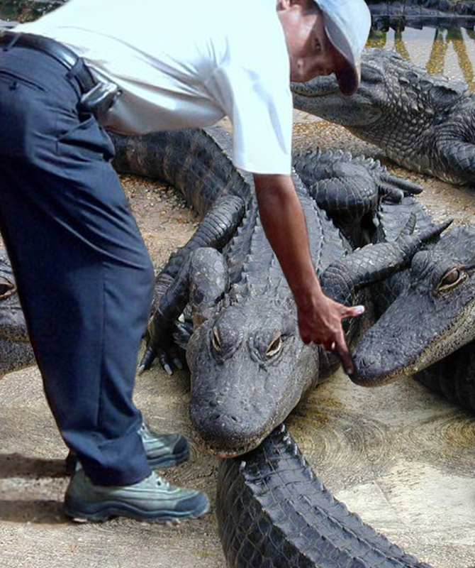 Diseño de Photoshop por Jaffar1900 para DesignCrowd (Community Contests) | Diseño #9065180