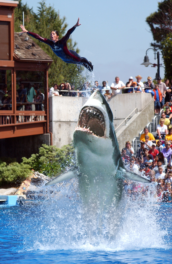 Photoshop Design by lazyrevolutionary for DesignCrowd (Community Contests) | Design #9065248