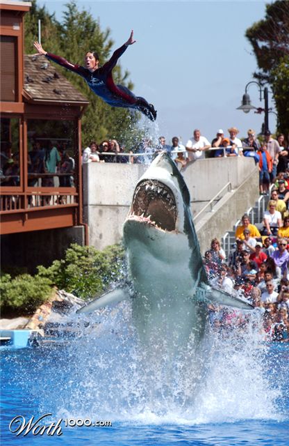 Photoshop Design by lazyrevolutionary