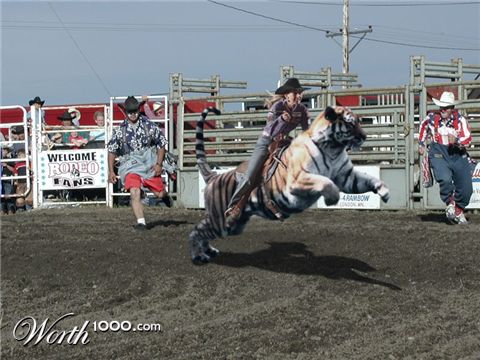 Photoshop Design by corwin1