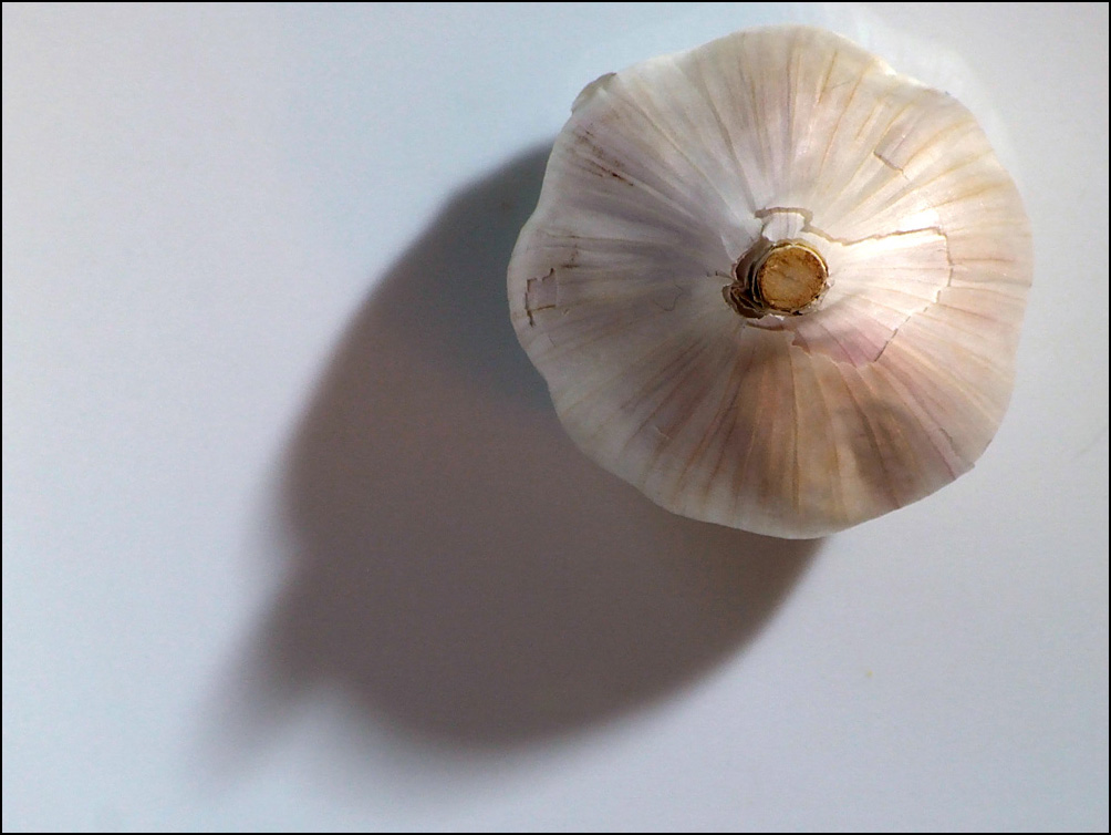 Photography by Craigr1978 for DesignCrowd (Community Contests) | Design #9053601