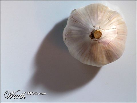 Photography by Craigr1978