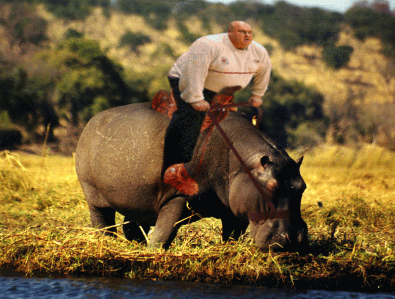 Photoshop Design by pvazquez for DesignCrowd (Community Contests) | Design #9065284