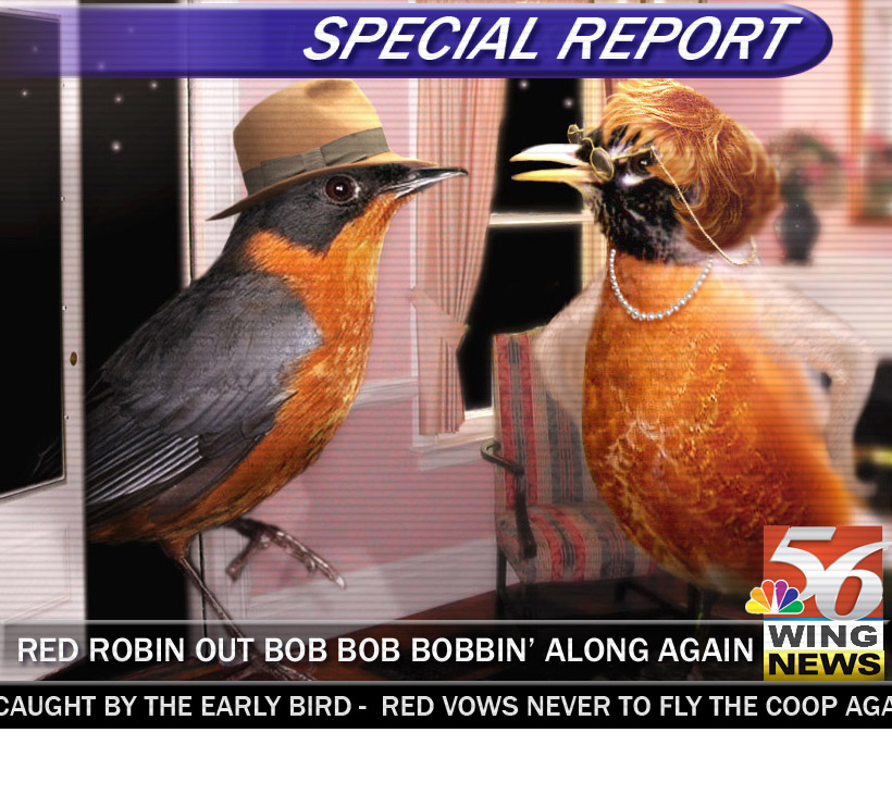 Photoshop-Design von Penbender für DesignCrowd (Community Contests) | Design #9054537