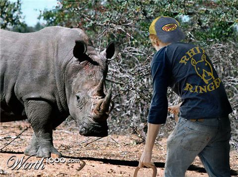 Photoshop Design by gerace