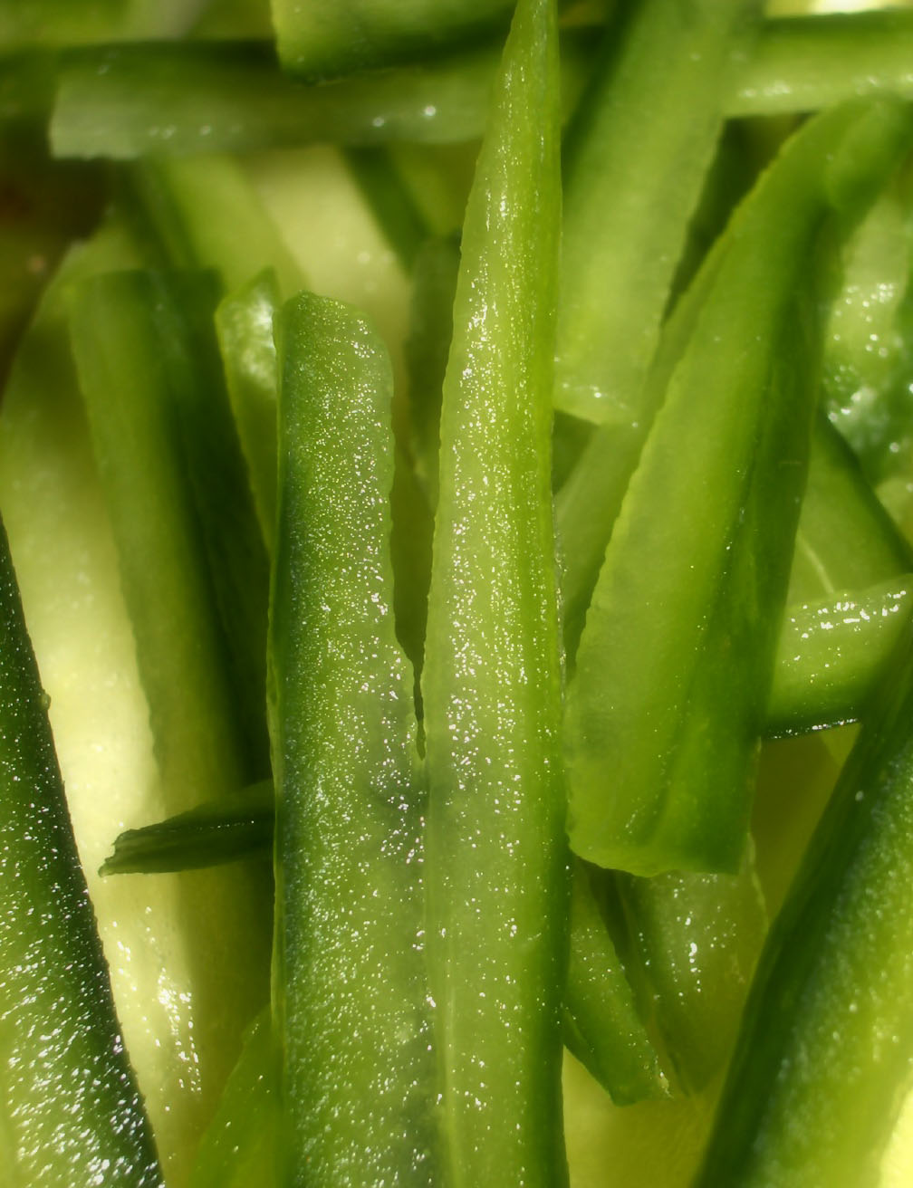 Fotografía por zymark para DesignCrowd (Community Contests) | Diseño #9053608