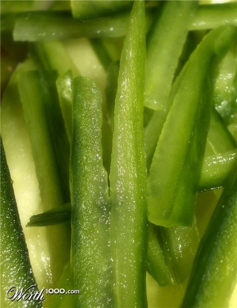 Photography by zymark