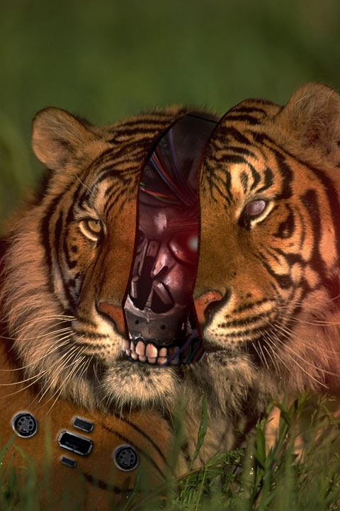 Diseño de Photoshop por imagineer99 para DesignCrowd (Community Contests) | Diseño #9076257