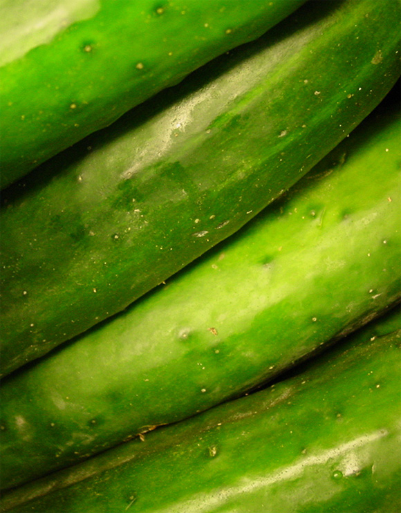 Fotografie von mysterio für DesignCrowd (Community Contests) | Design #9053645