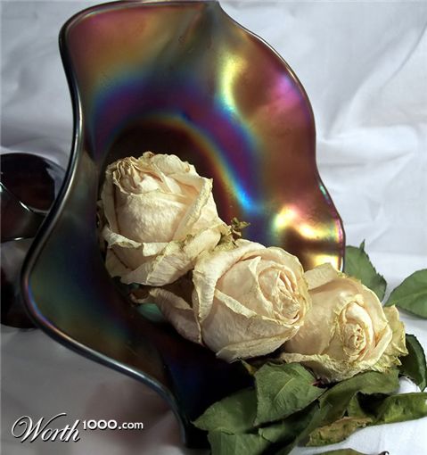 Photography by ritab218