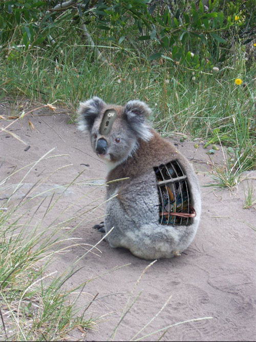 Photoshop Design by Killington for DesignCrowd (Community Contests) | Design #9076316