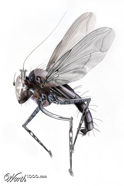 Photoshop Design by Jaffar1900