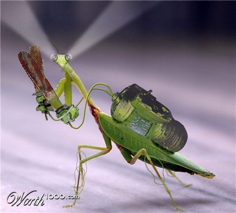 Photoshop Design by spiraleye