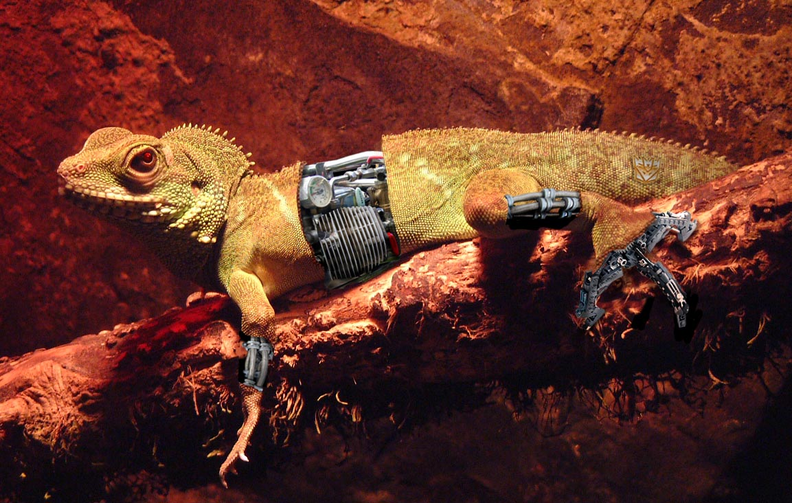 Photoshop Design by Rafoloman for DesignCrowd (Community Contests) | Design #9076346