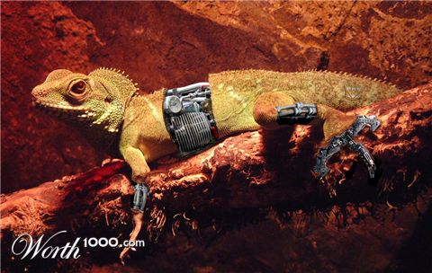 Photoshop Design by Rafoloman