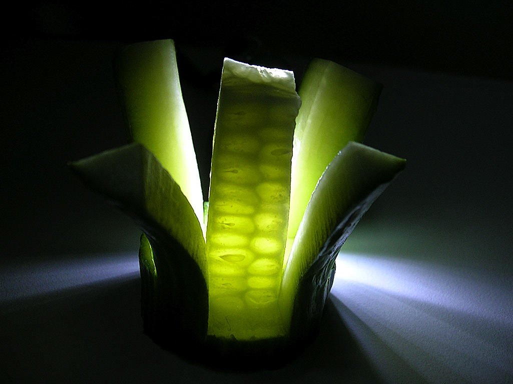 Photographie par Pondus pour DesignCrowd (Community Contests) | Design #9053667