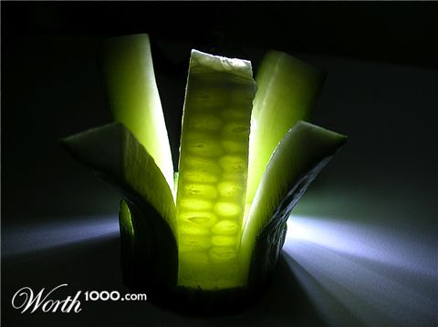 Photography by Pondus