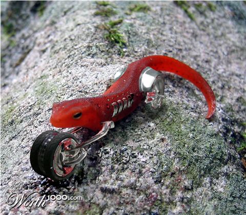 Photoshop Design by my79spirit