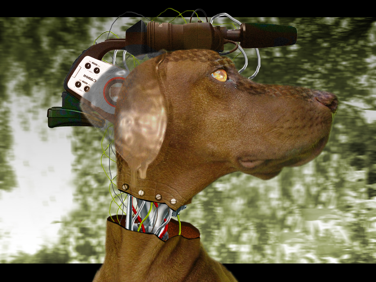 Diseño de Photoshop por Sfffen para DesignCrowd (Community Contests) | Diseño #9076376