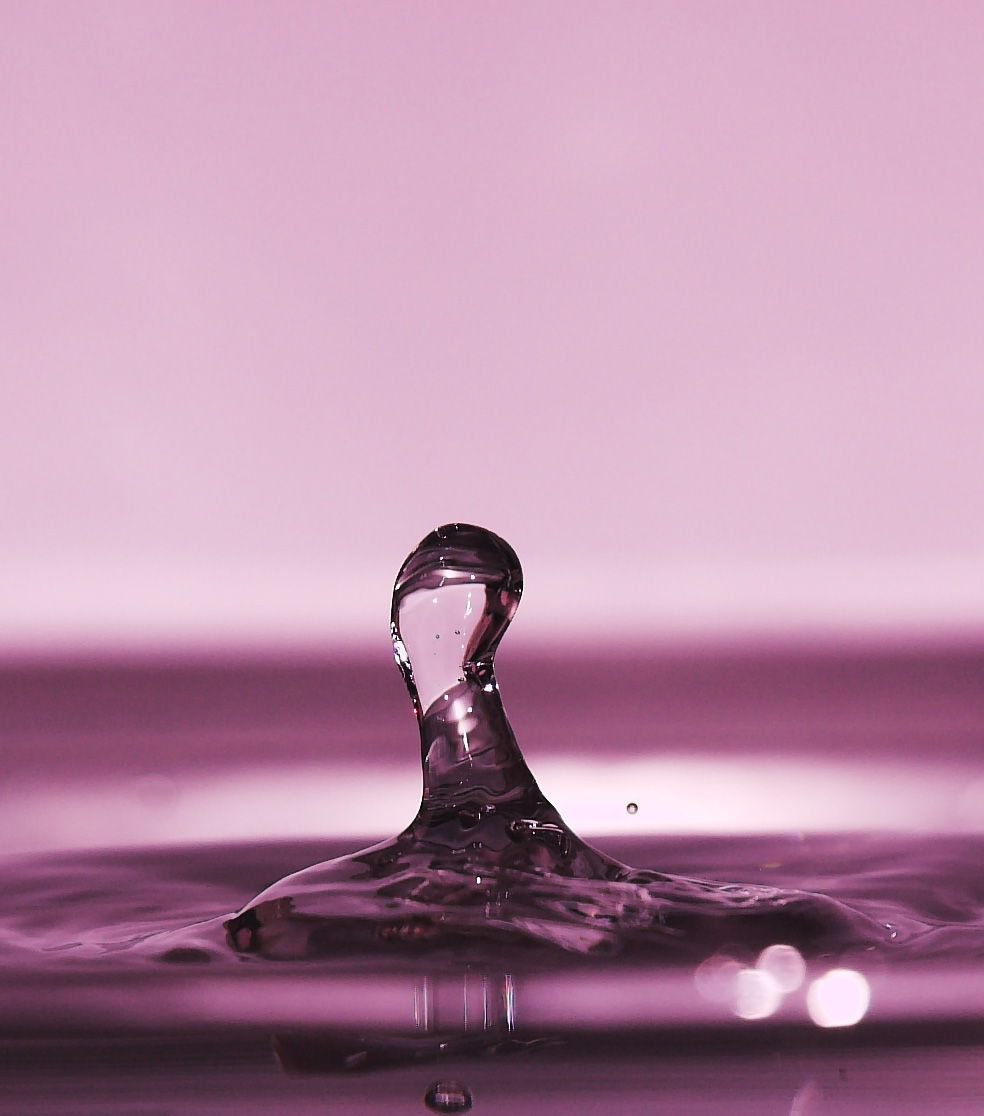 Photography by mightyflup for DesignCrowd (Community Contests) | Design #9066104