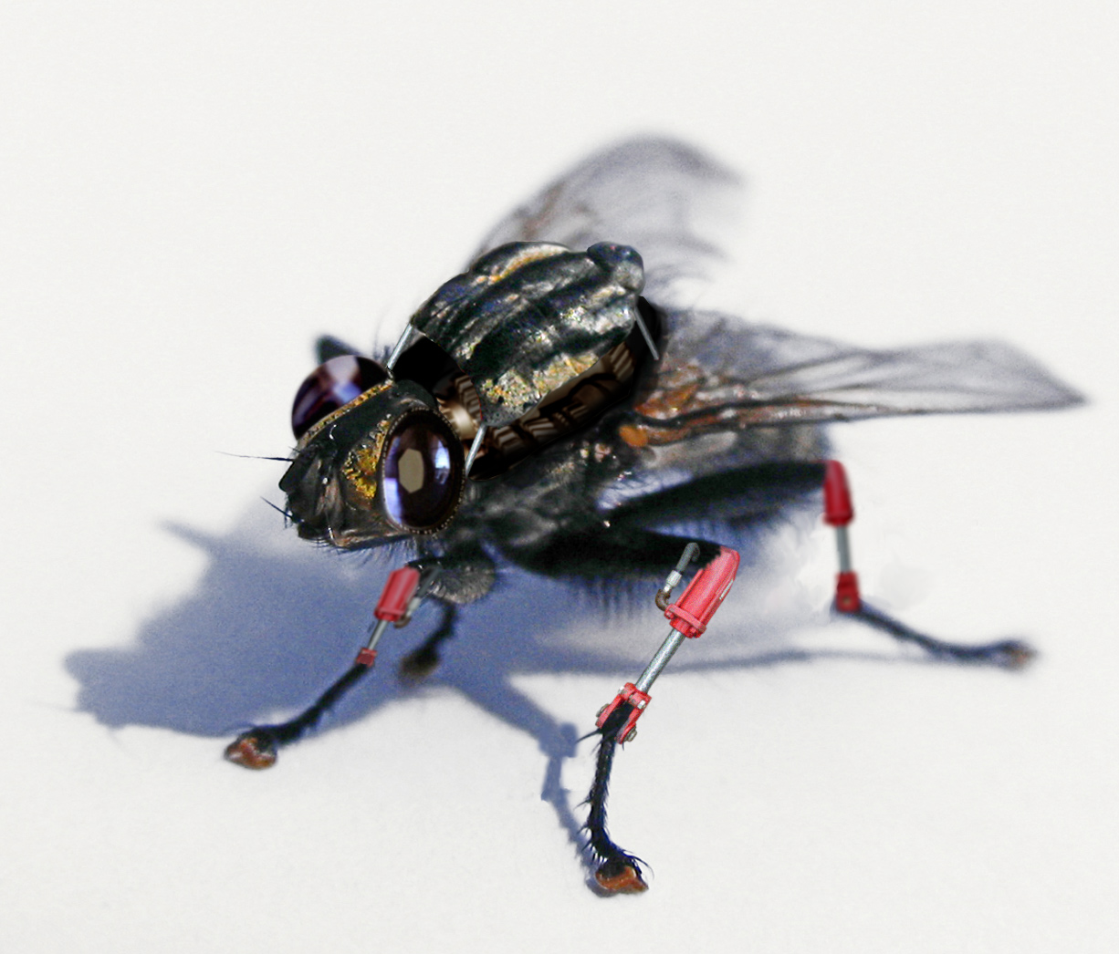 Photoshop Design by DennisL for DesignCrowd (Community Contests) | Design #9076402