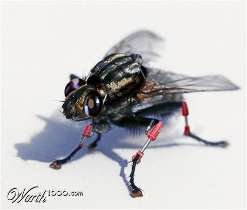 Photoshop Design by DennisL