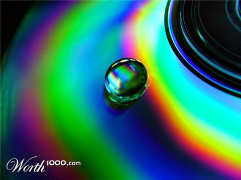 Photography by LADPUPMOE