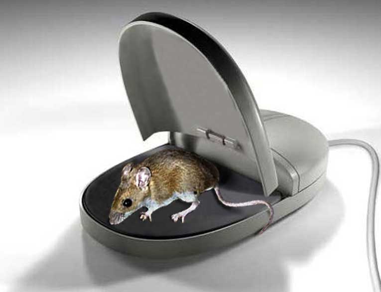 Photoshop Design by WizFromOz for DesignCrowd (Community Contests) | Design #9064638