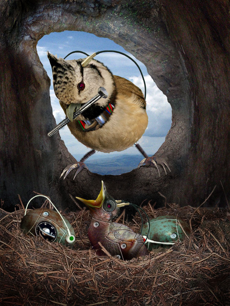 Photoshop Design by Chiboo for DesignCrowd (Community Contests) | Design #9076369