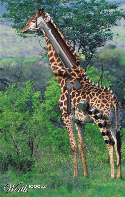 Photoshop Design by schmoehawk