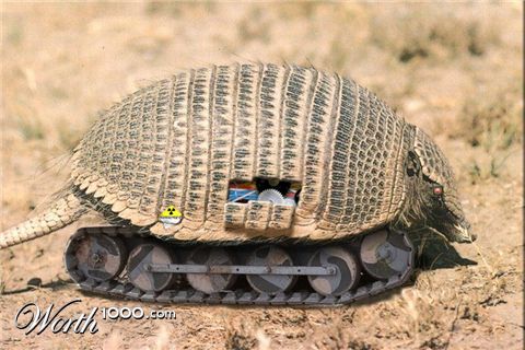 Photoshop Design by Southman