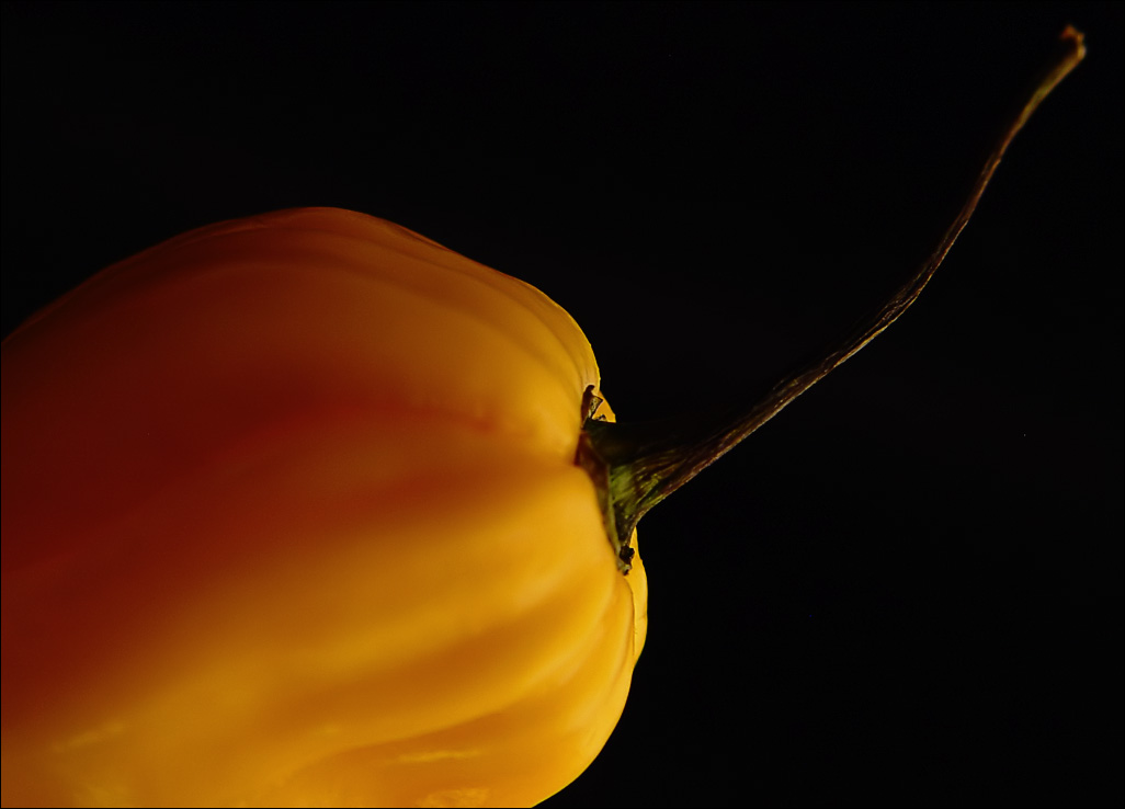 Fotografía por enembee para DesignCrowd (Community Contests) | Diseño #9053625