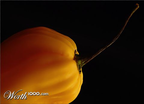 Photography by enembee