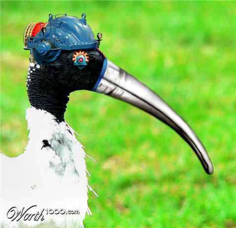 Photoshop Design by bif248