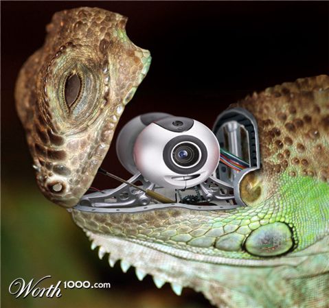 Photoshop Design by midian