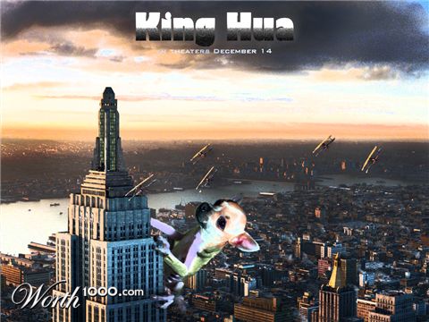 Photoshop Design by Apemolecule